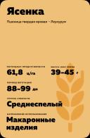 Ясенка пшеница твердая яровая