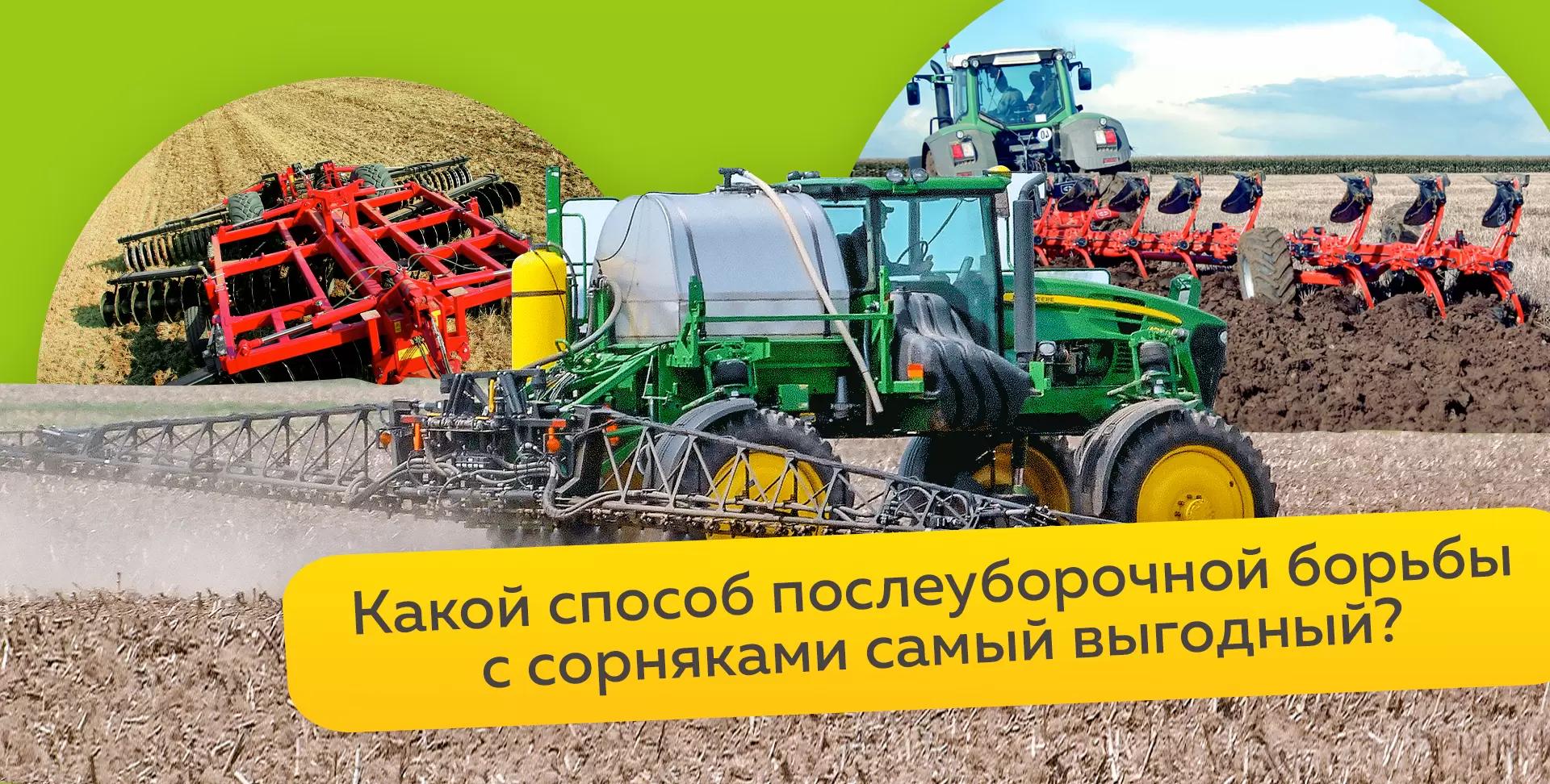 Как эффективно бороться с сорняками в послеуборочный период зерновых культур?