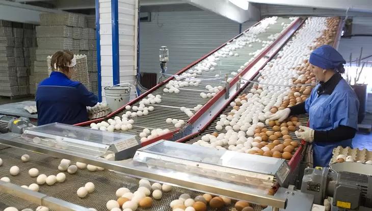 Число производителей яиц и птицы в РФ упало почти на 12%