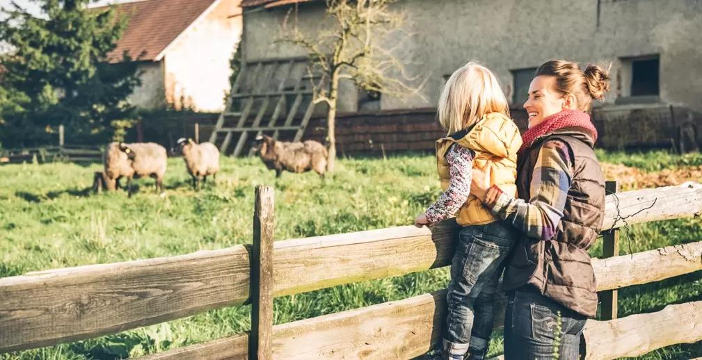 Классификацию видов разрешенного использования сельхозземель могут изменить