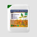 Фульвигрейн Антистресс