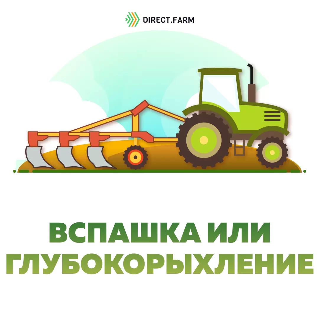 Вспашка или глубокое рыхление?