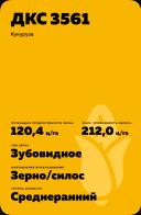 ДКС 3561 гибрид кукурузы