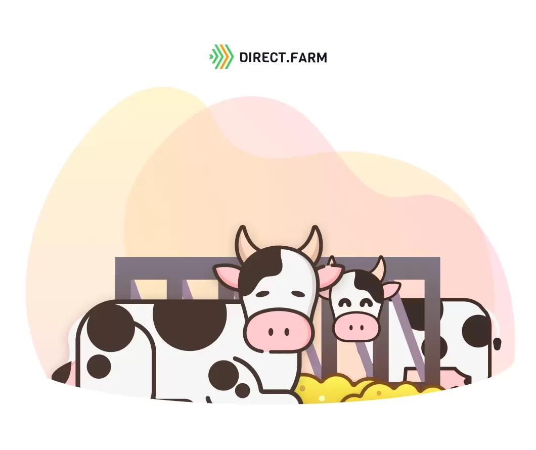 Как реконструировать советские "клюшечники" под глубокую подстилку?