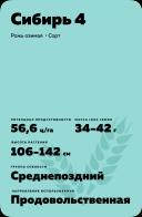 Сибирь 4 рожь озимая