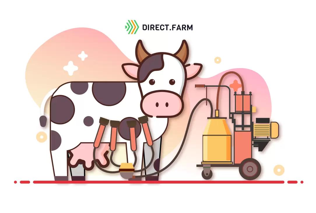 Какие могут быть причины возникновения гиперкератоза у коров?