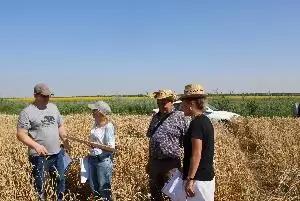 Освоение новых методов апробации