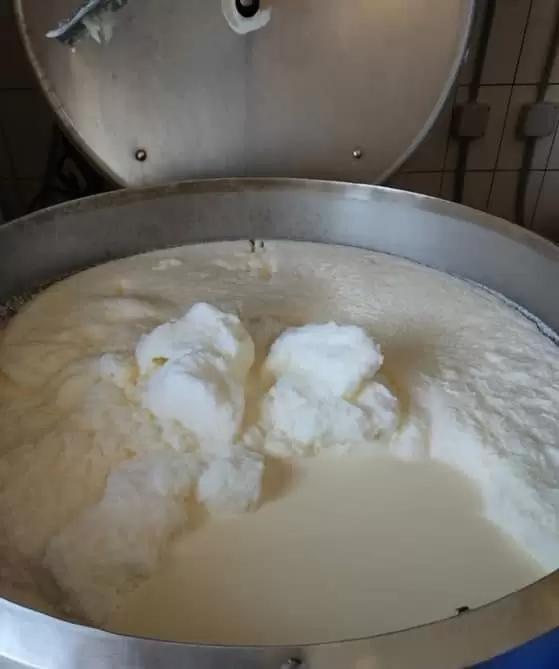 Почему вершки молока взбиваются в плотную пену?