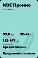 КВС Проммо (KWS PROMMO) рожь озимая