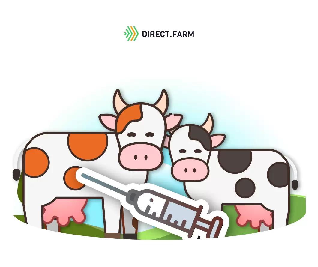 Виды вакцинации: ковровая или по дням лактации