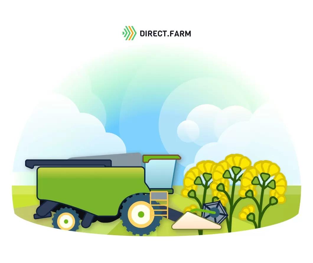 Уборка рапса на семена