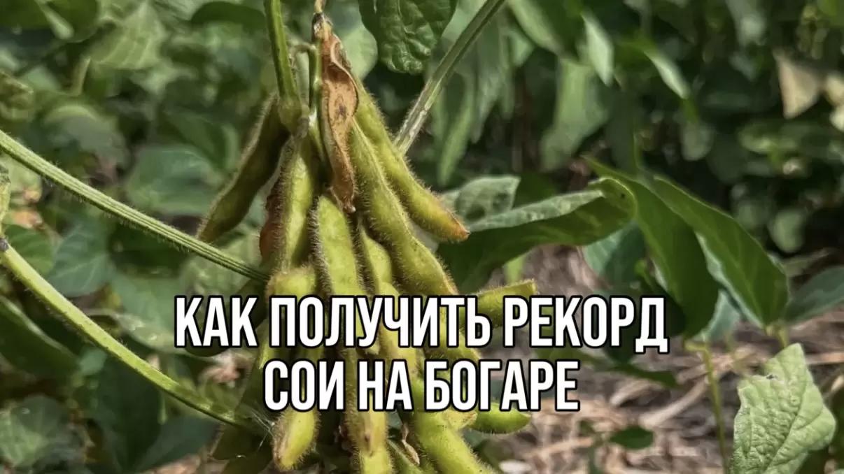 КАК ПОЛУЧИТЬ РЕКОРД СОИ НА БОГАРЕ