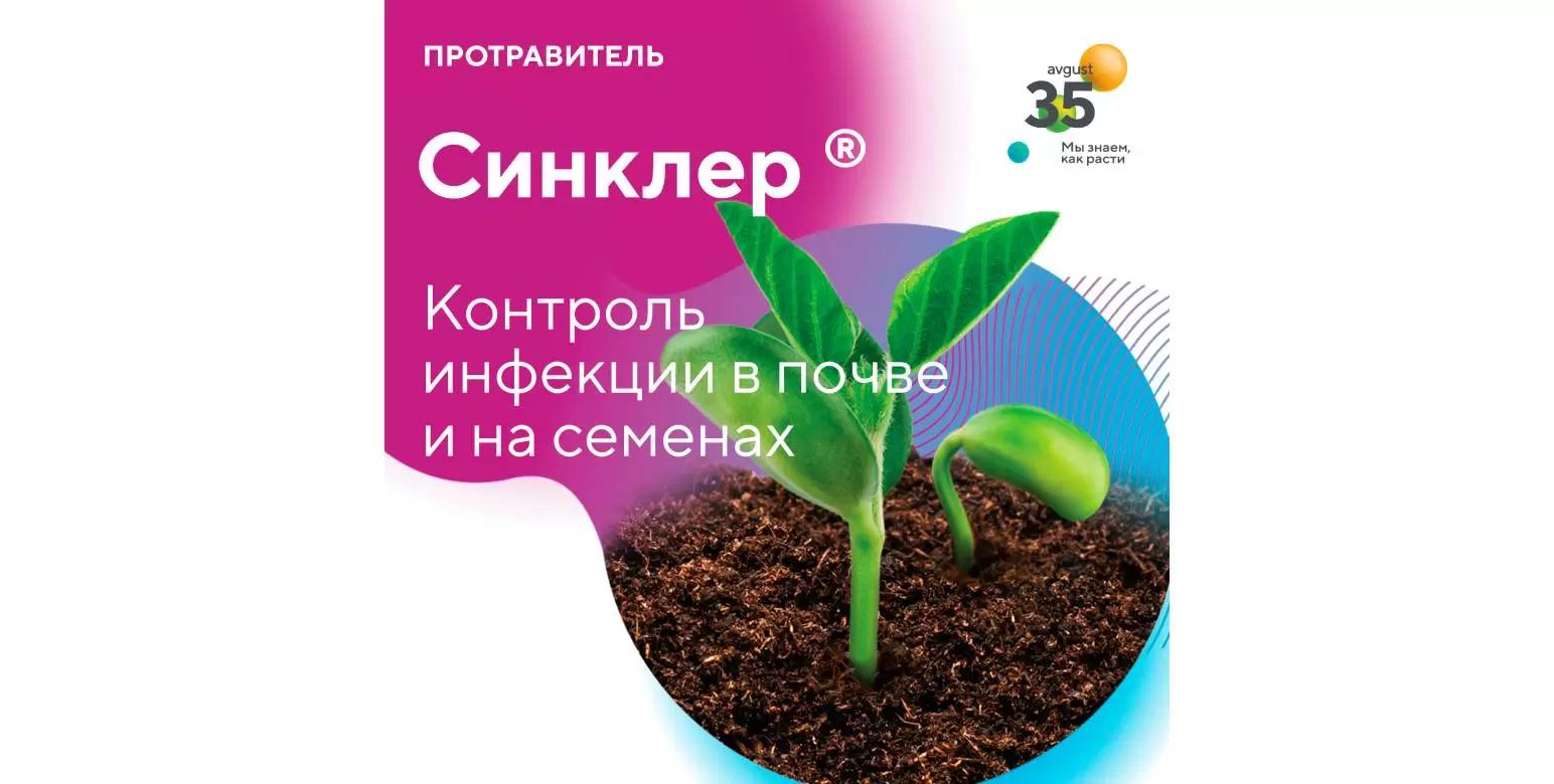 Синклер® на защите семян и проростков зернобобовых культур
