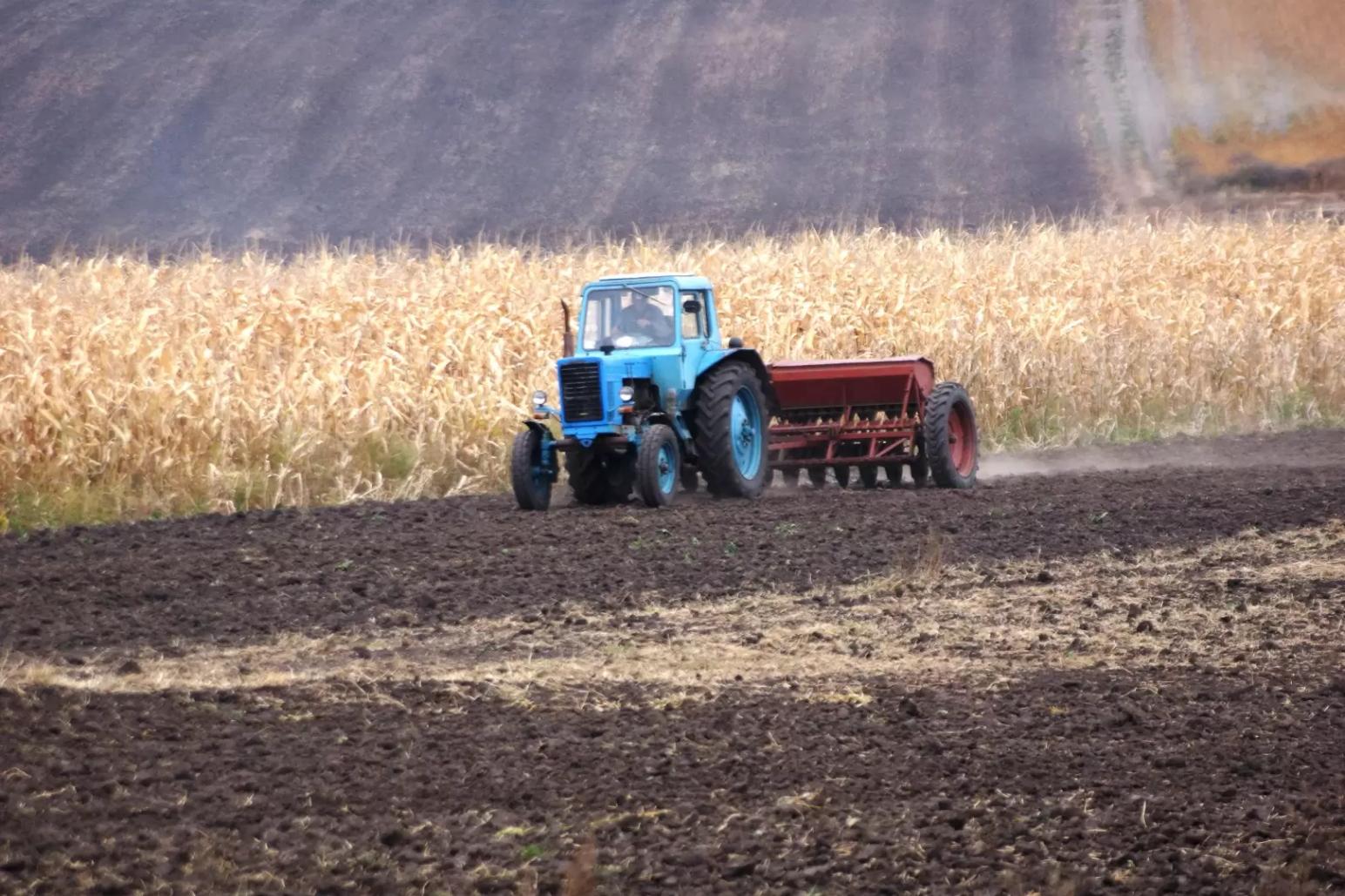 Россия может засеять озимыми меньше площадей в 2022 г. из-за дождей