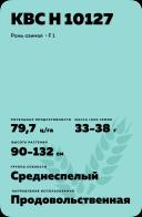 КВС Н 10127 рожь озимая