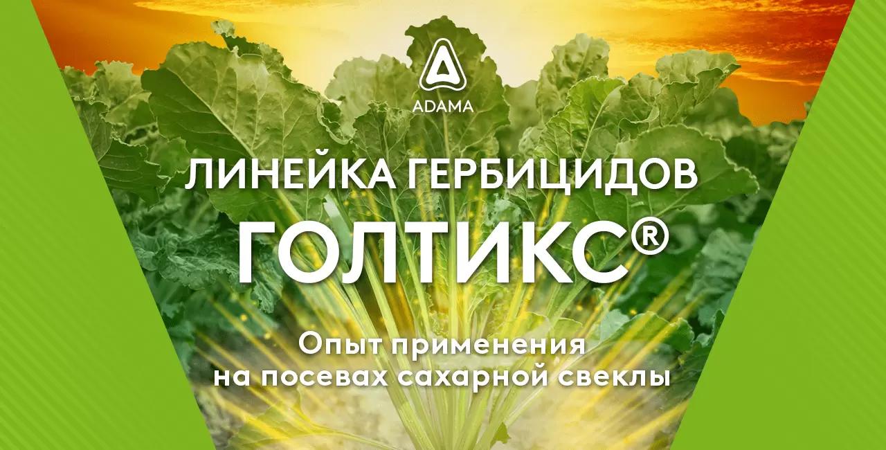 Линейка гербицидов Голтикс® – опыт применения на посевах свёклы