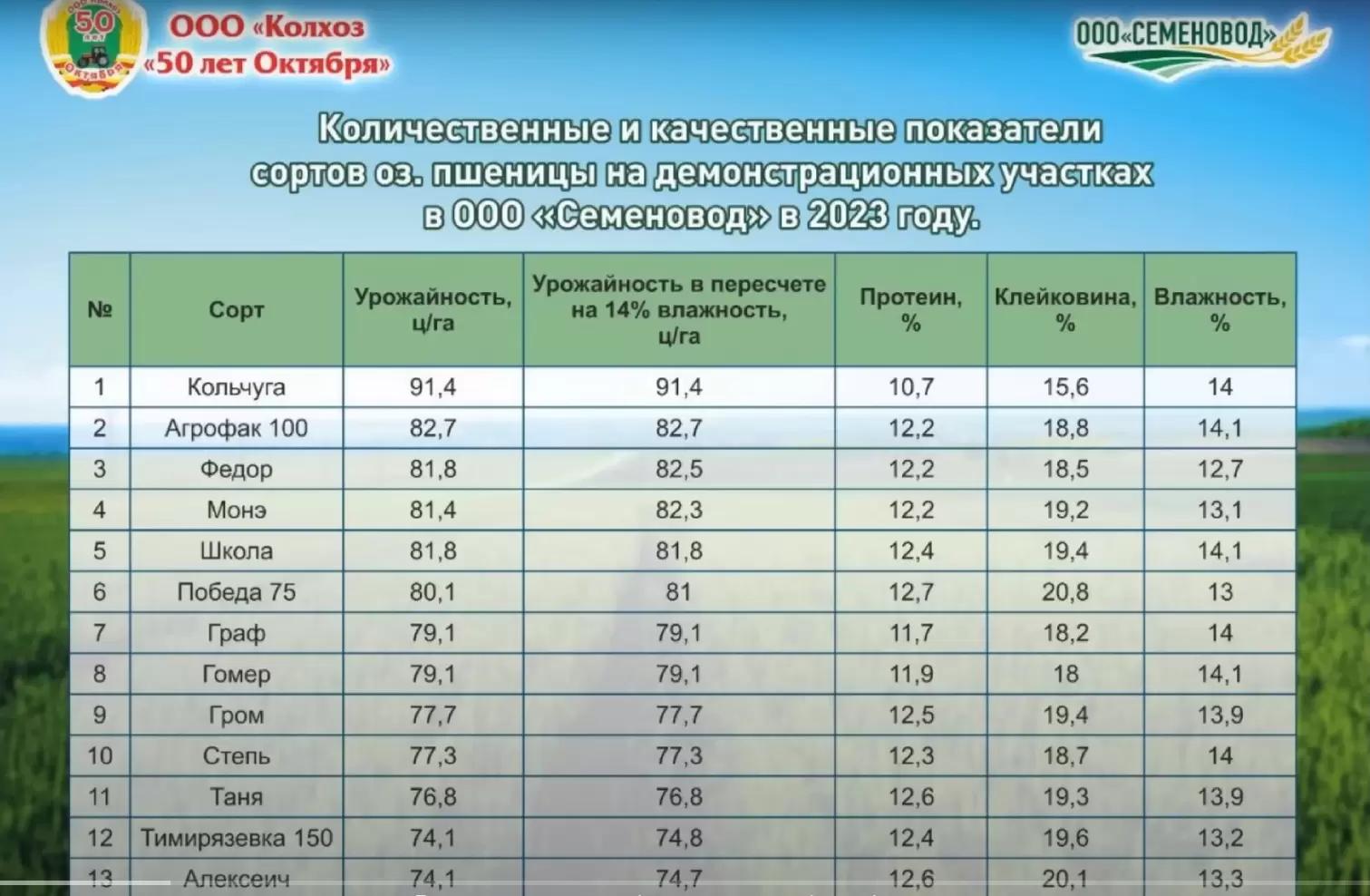 Подбор сортов озимой пшеницы по мнению практиков
