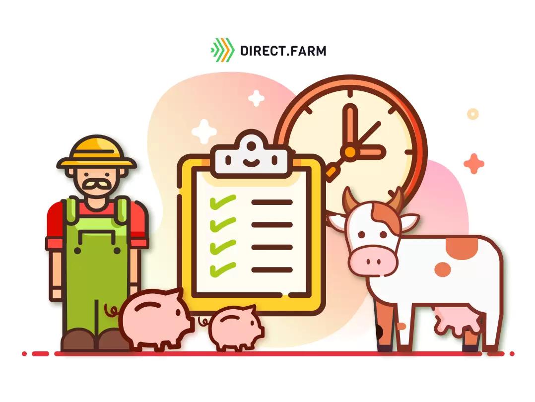 Какой должен быть распорядок дня на молочной ферме?