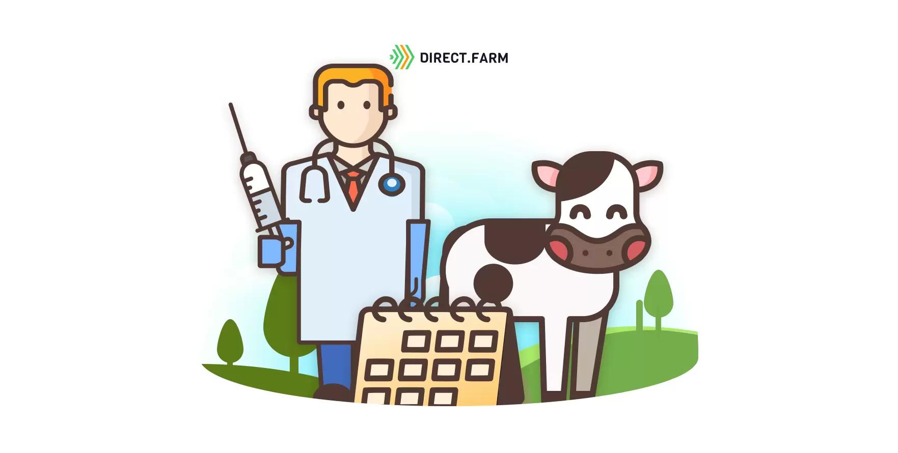 Схема вакцинации телят