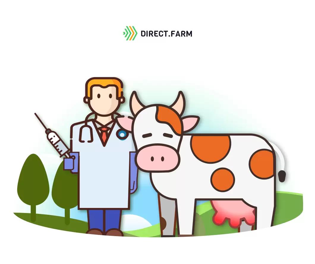 Вакцинация против мастита