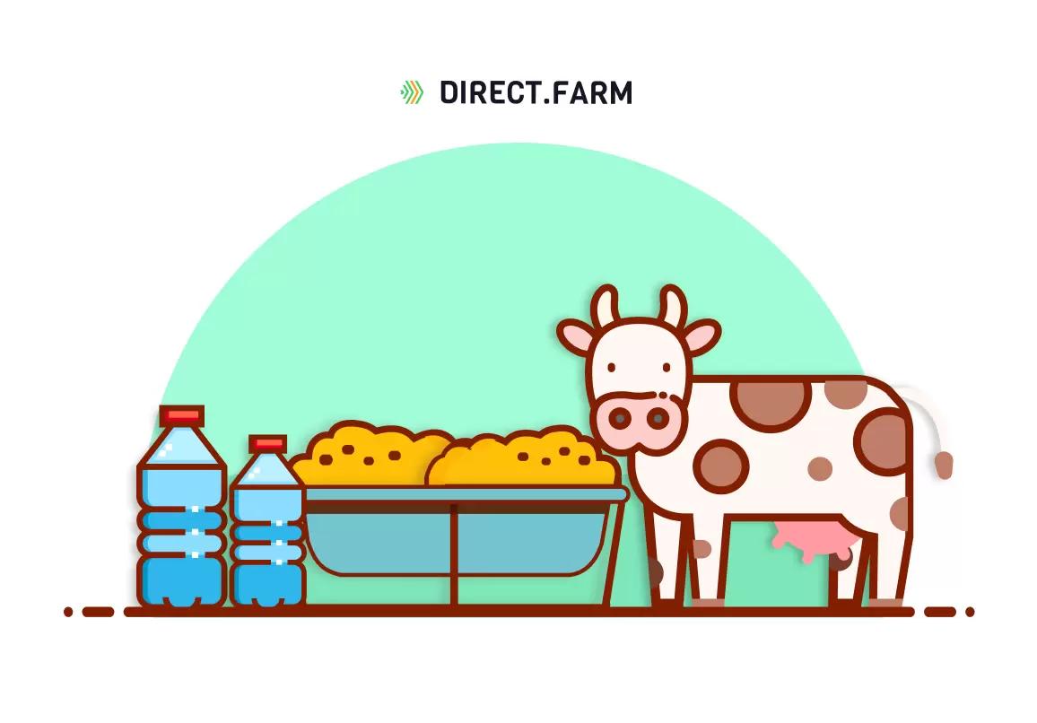 Смешиваем корм с водой