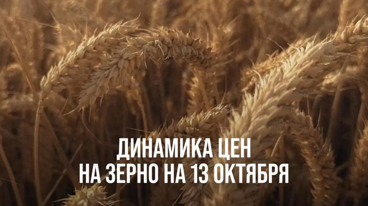 ДИНАМИКА ЦЕН НА ЗЕРНО НА 13 ОКТЯБРЯ
