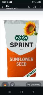 Пионер П64ЛЕ25