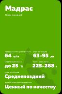 Мадрас (MADRAS) сорт гороха посевного