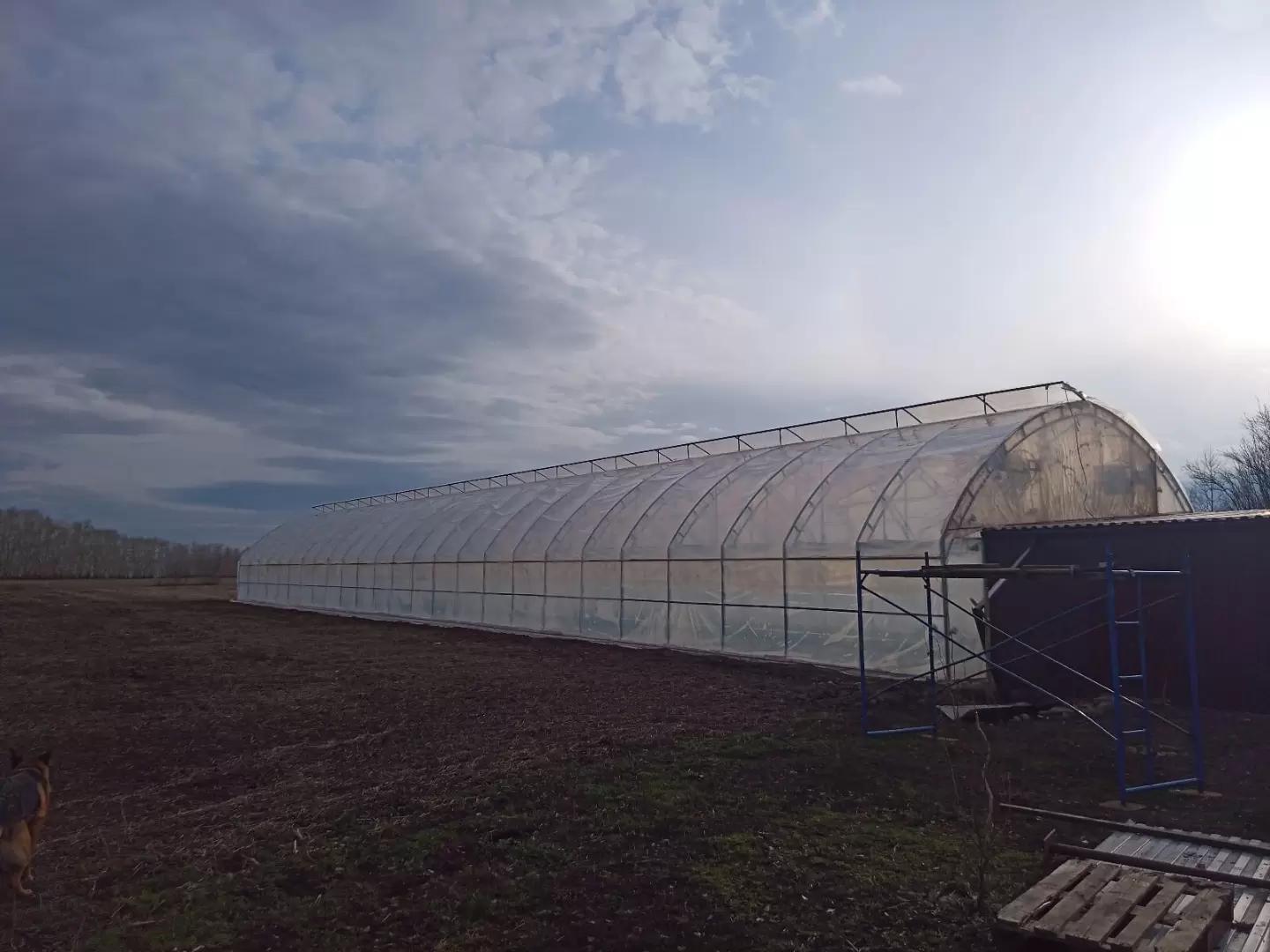 Как выбрать материал для укрытия теплицы