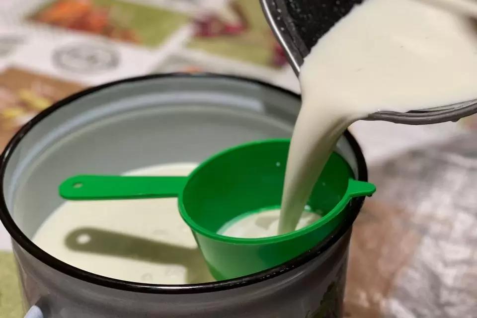 СМИ: на Украине назревает молочный кризис из-за сокращения поголовья