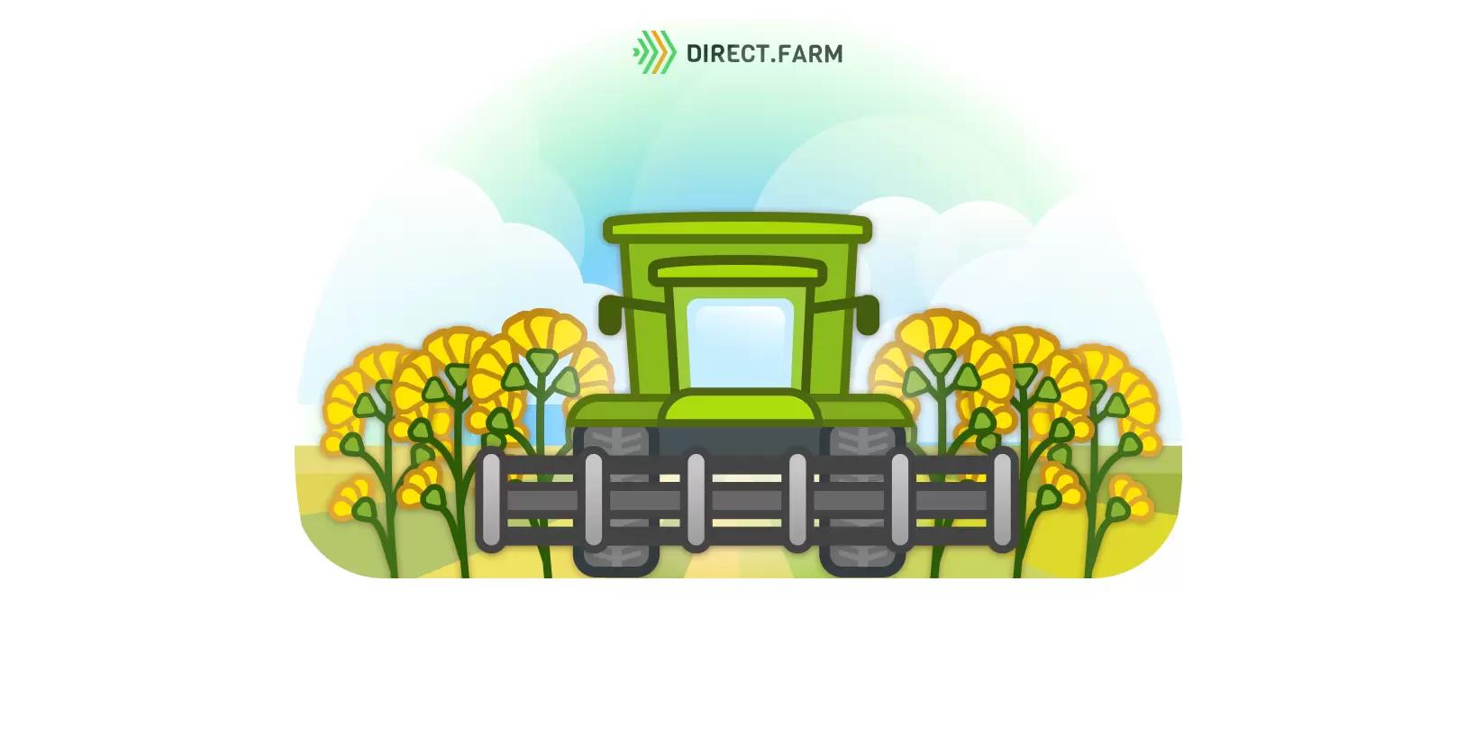 Технология возделывания крестоцветных культур