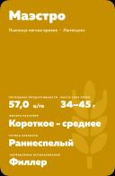 Маэстро сорт мягкой яровой пшеницы