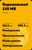 Воронежский 130 МВ