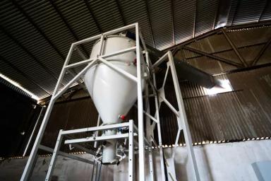 Семенной завод 20 т/ч