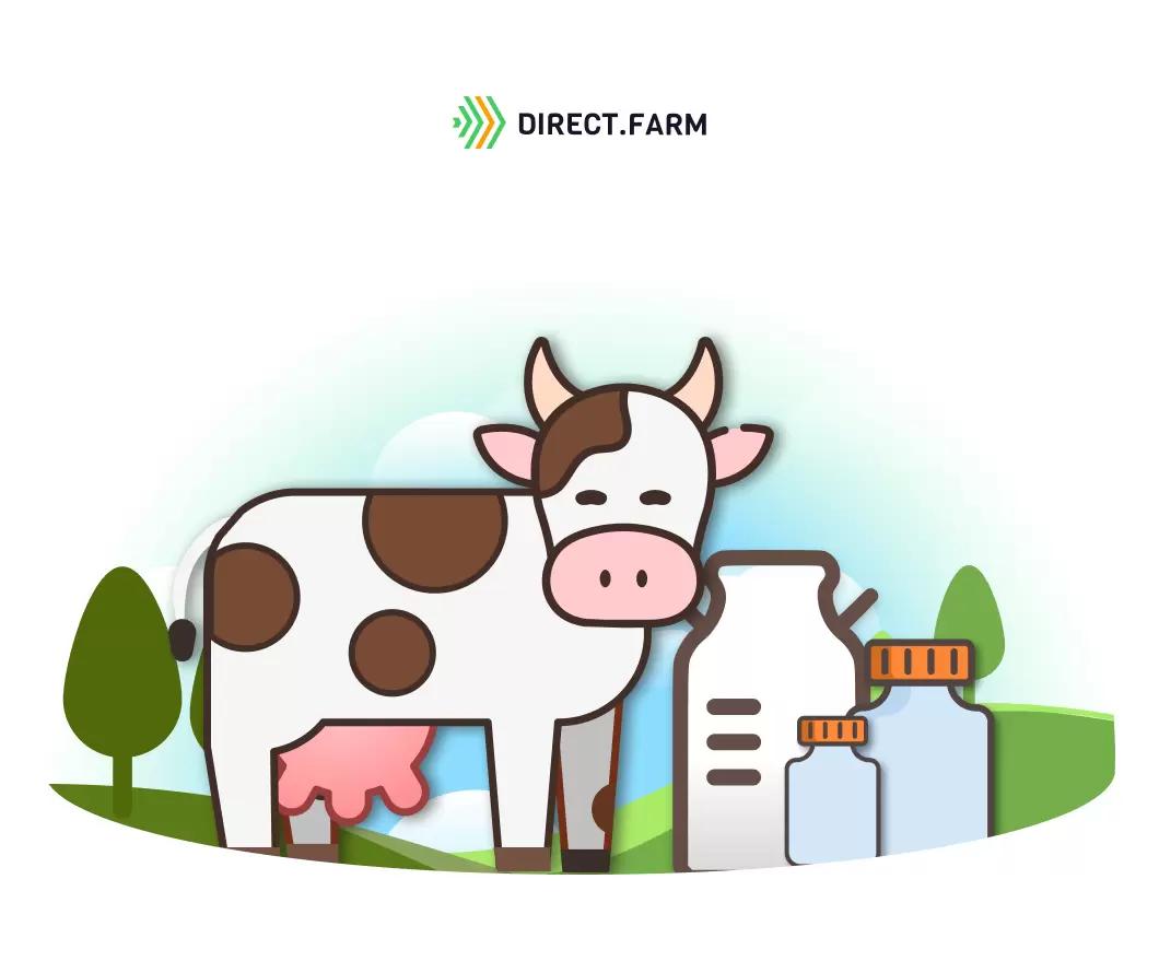 Антибиотики в молочном животноводстве