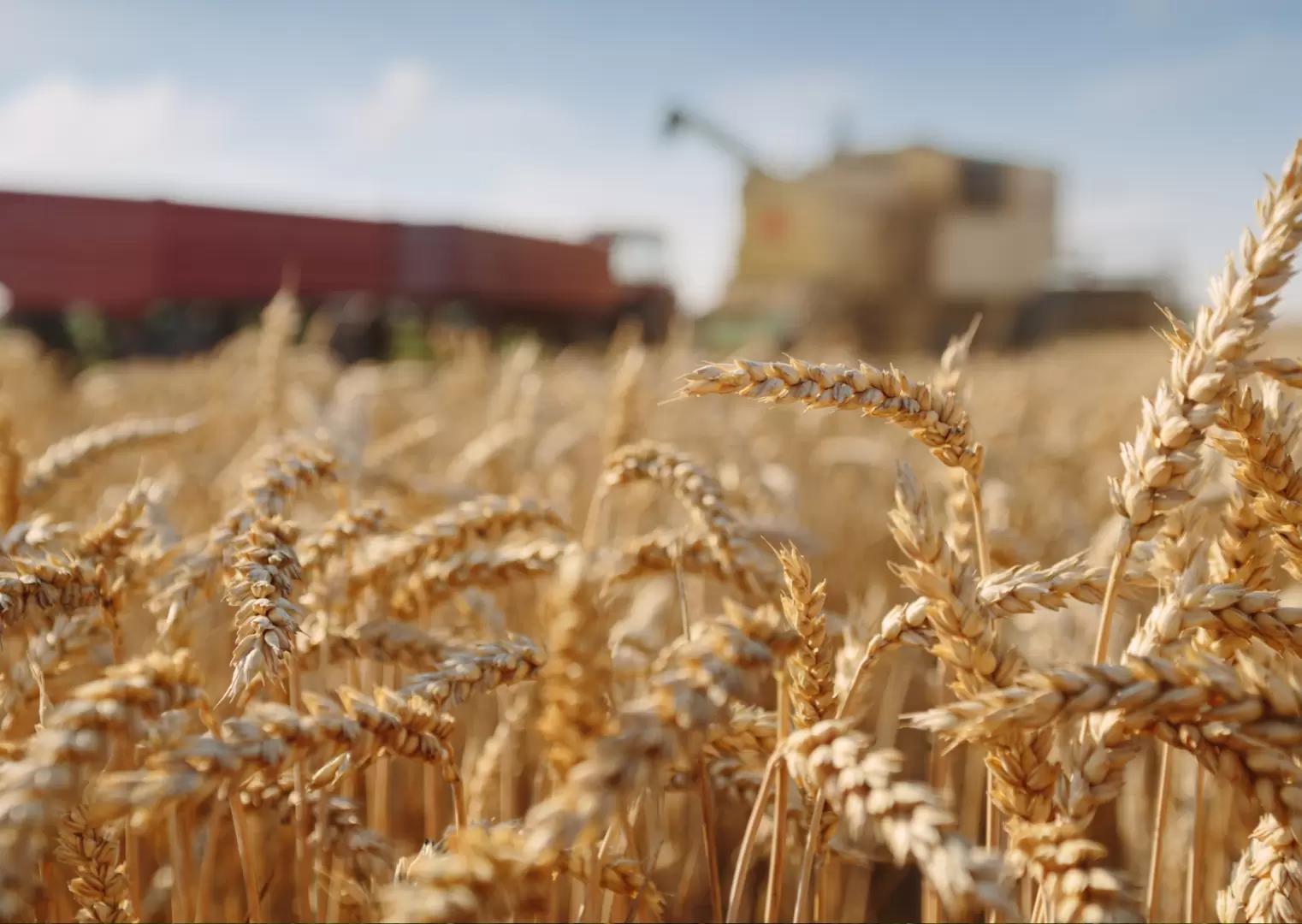 Работа АКР с ГКФХ из Адыгеи!