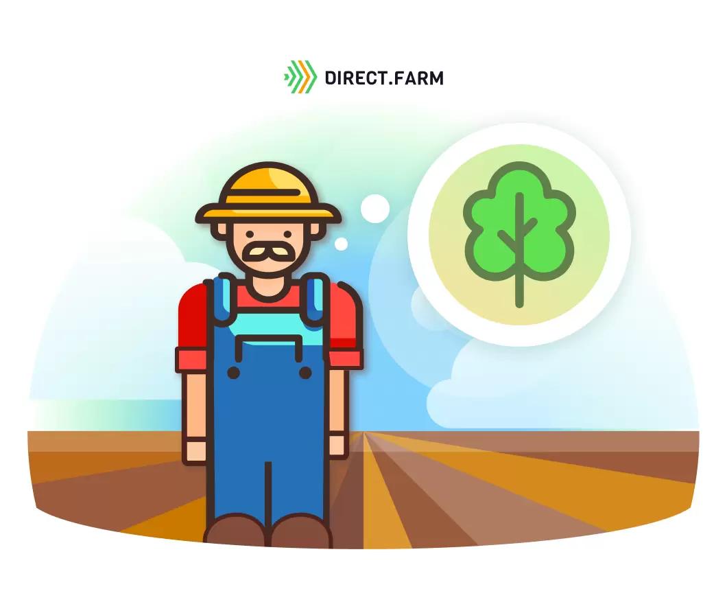 Выбор участка для закладки сада