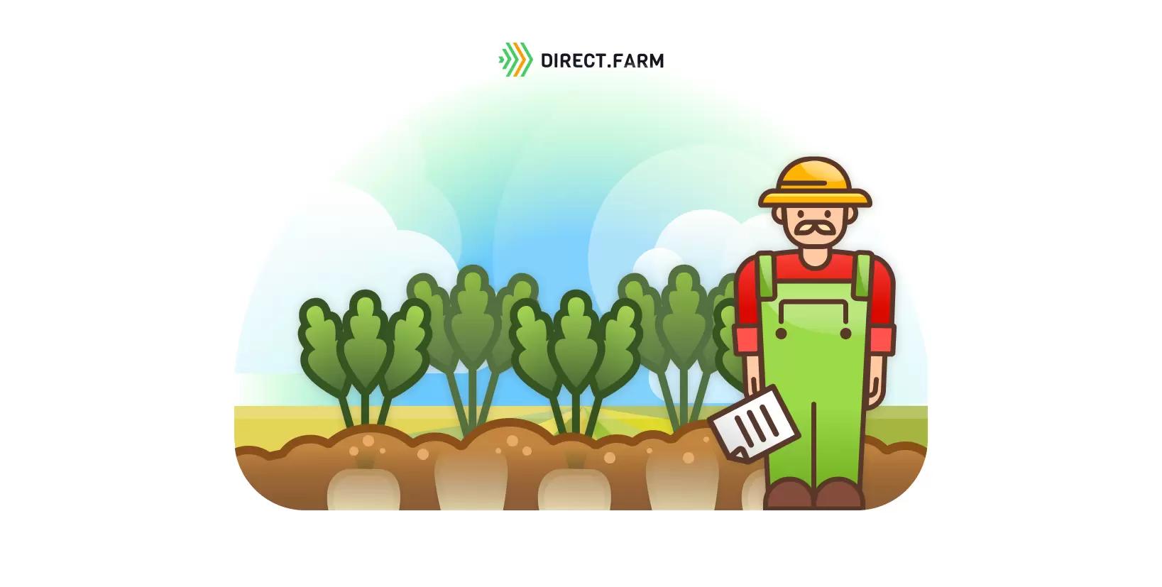 Биологическая урожайность сахарной свеклы