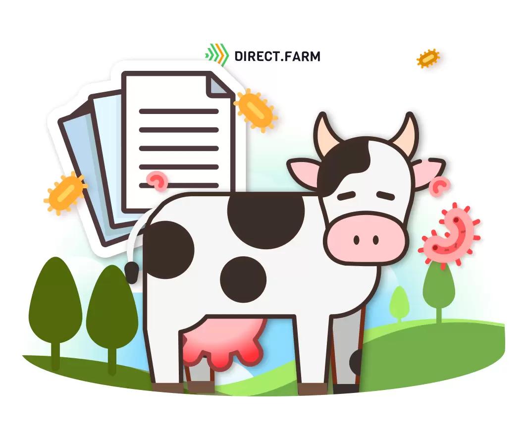 Лечение золотистого стафилококка