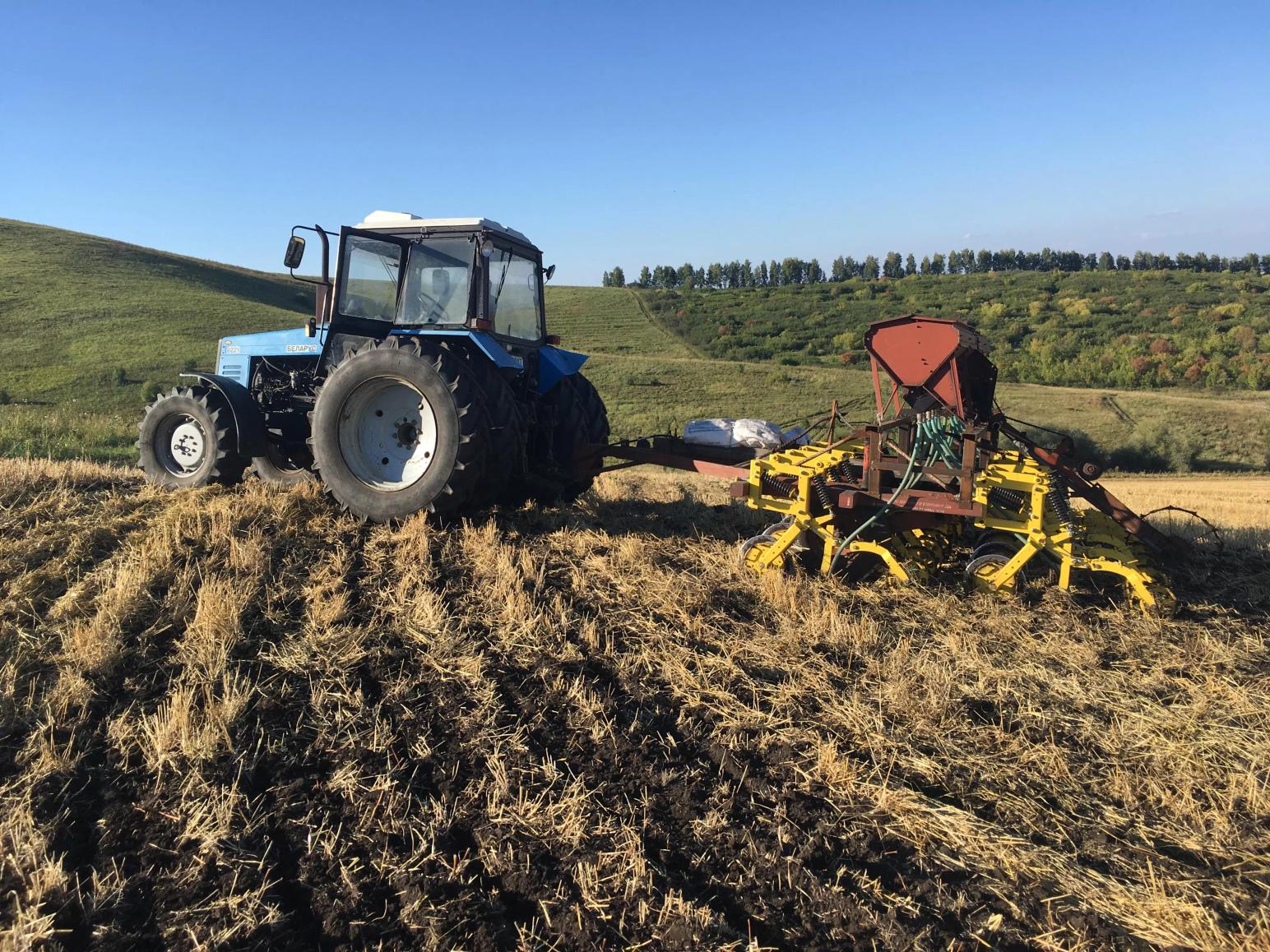 Оптимальные способы и сроки внесения удобрений под озимую пшеницу после посева?