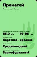 Прометей сорт ярового ячменя