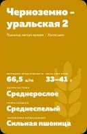 Черноземноуральская 2 сорт мягкой яровой пшеницы