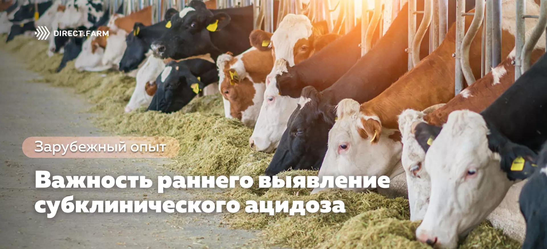 Важность раннего выявление субклинического ацидоза