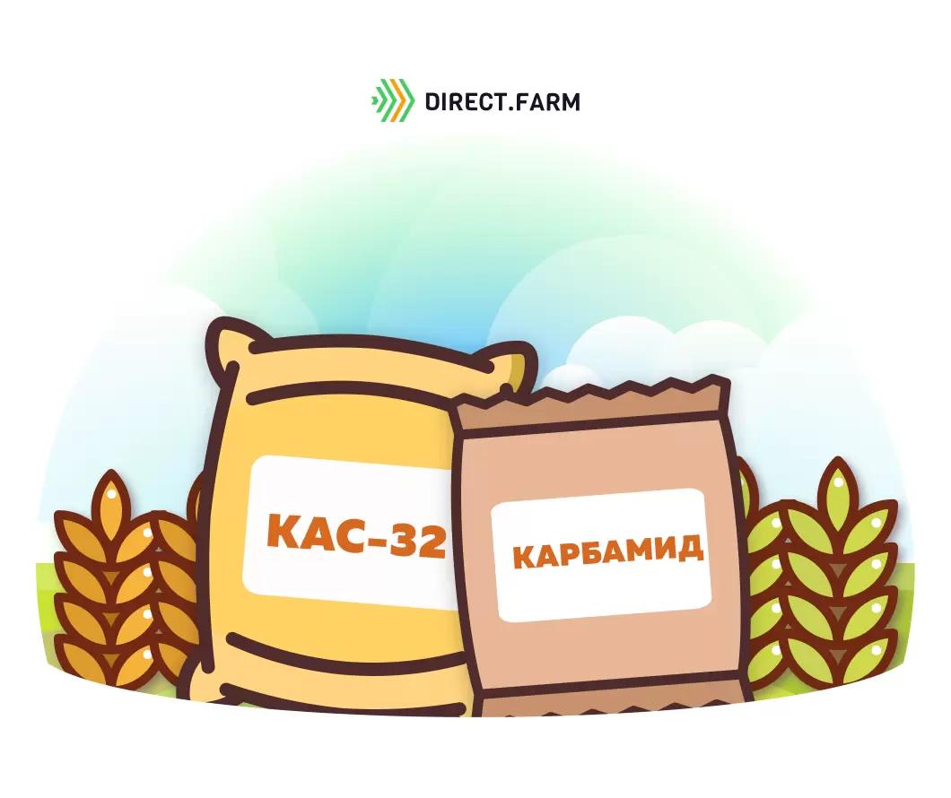 Что лучше внести: КАС-32 или карбамид?