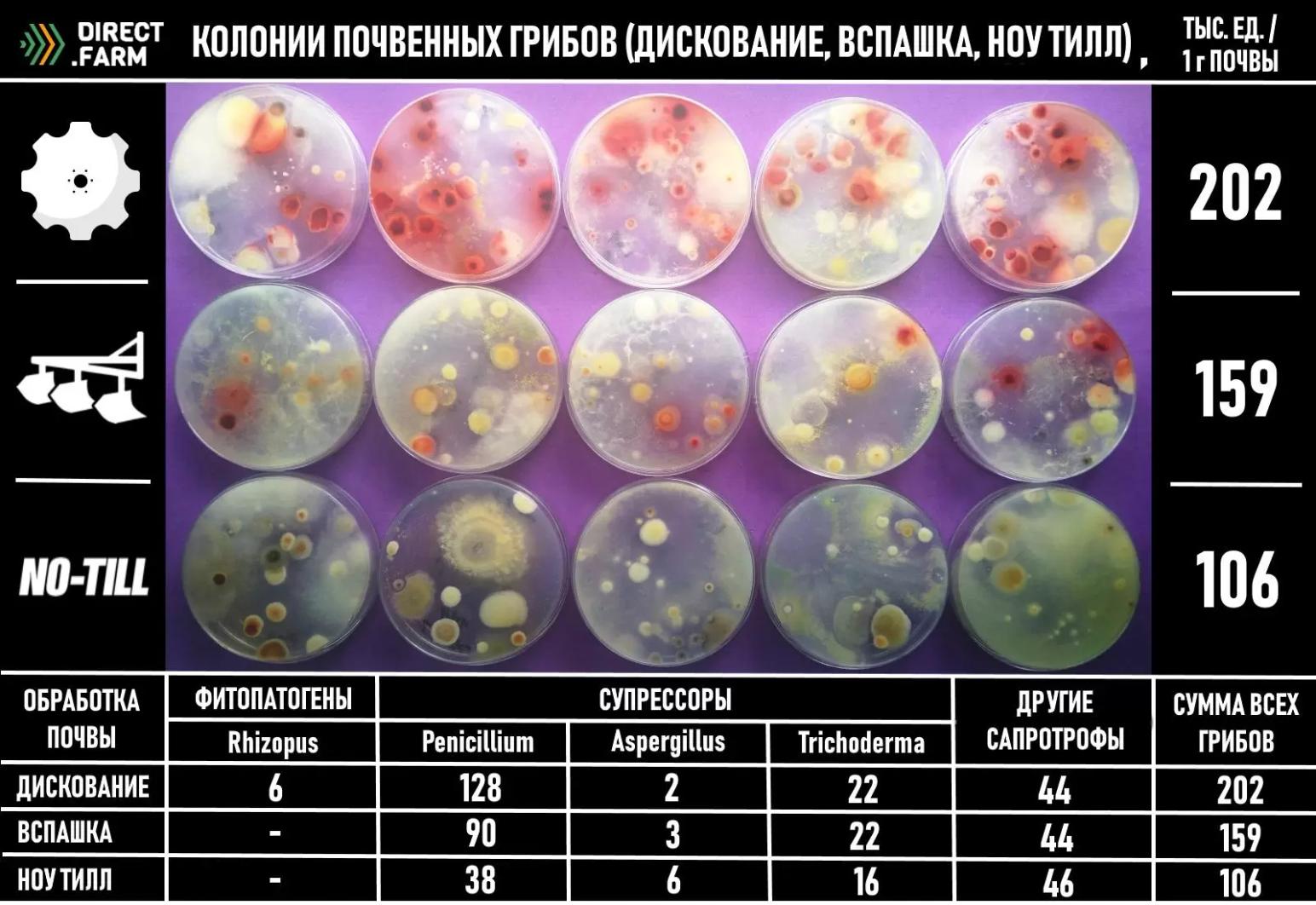 Микологический анализ почвы