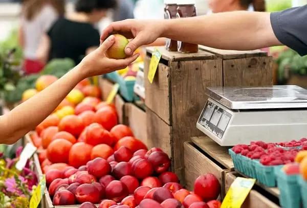 Товарооборот продукции АПК между РФ и странам ШОС в I полугодии вырос на 17%