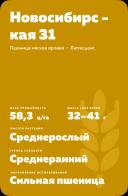 Новосибирская 31 ® пшеница яровая мягкая