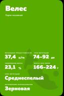 Велес ® - сорт гороха посевного ( Pisum sativum L.).