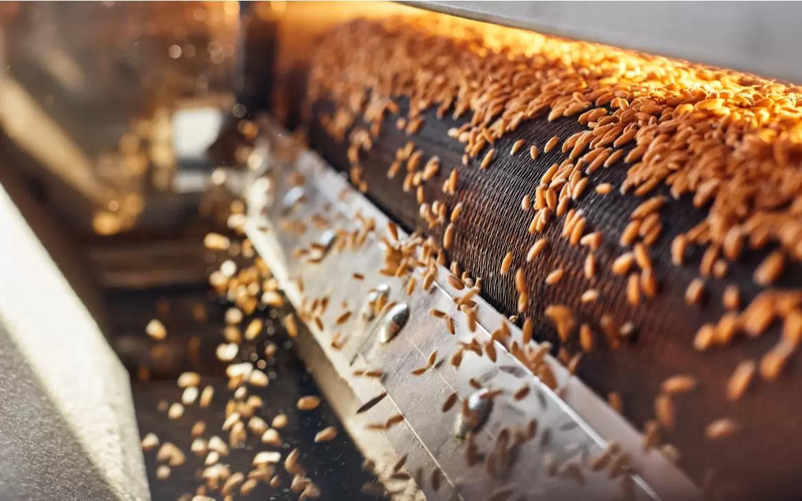 Экспортные цены на пшеницу продолжают снижаться