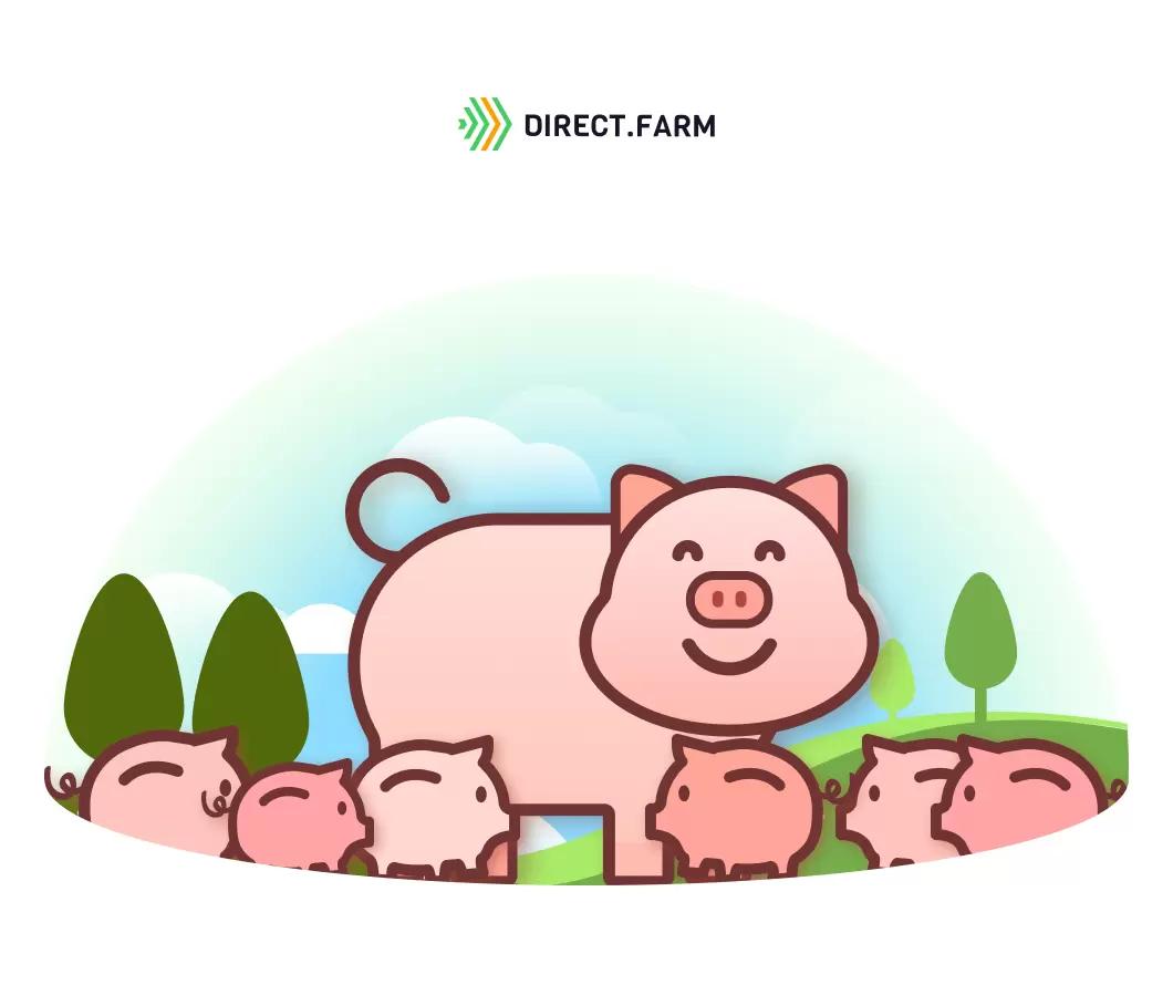 Порядок проведения опороса